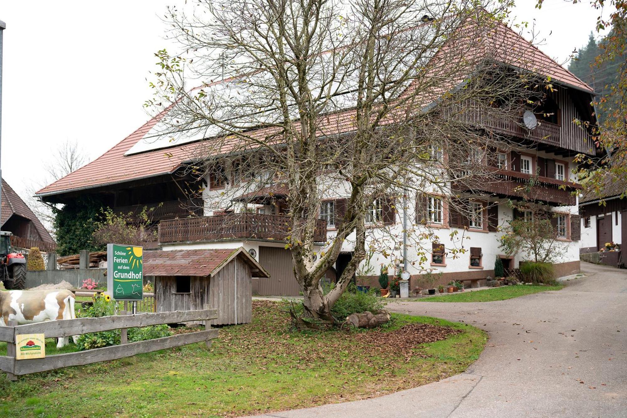 Vila Grundhof Oberprechtal Exteriér fotografie